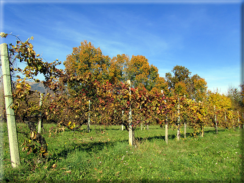 foto Alle pendici del Monte Grappa in Autunno